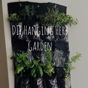 DIY Hanging Garden | twentysomething Indy